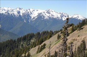 Olympic NP